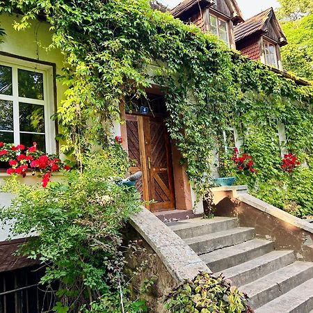 Zamkowa 4 Hotel Lubniewice Kültér fotó