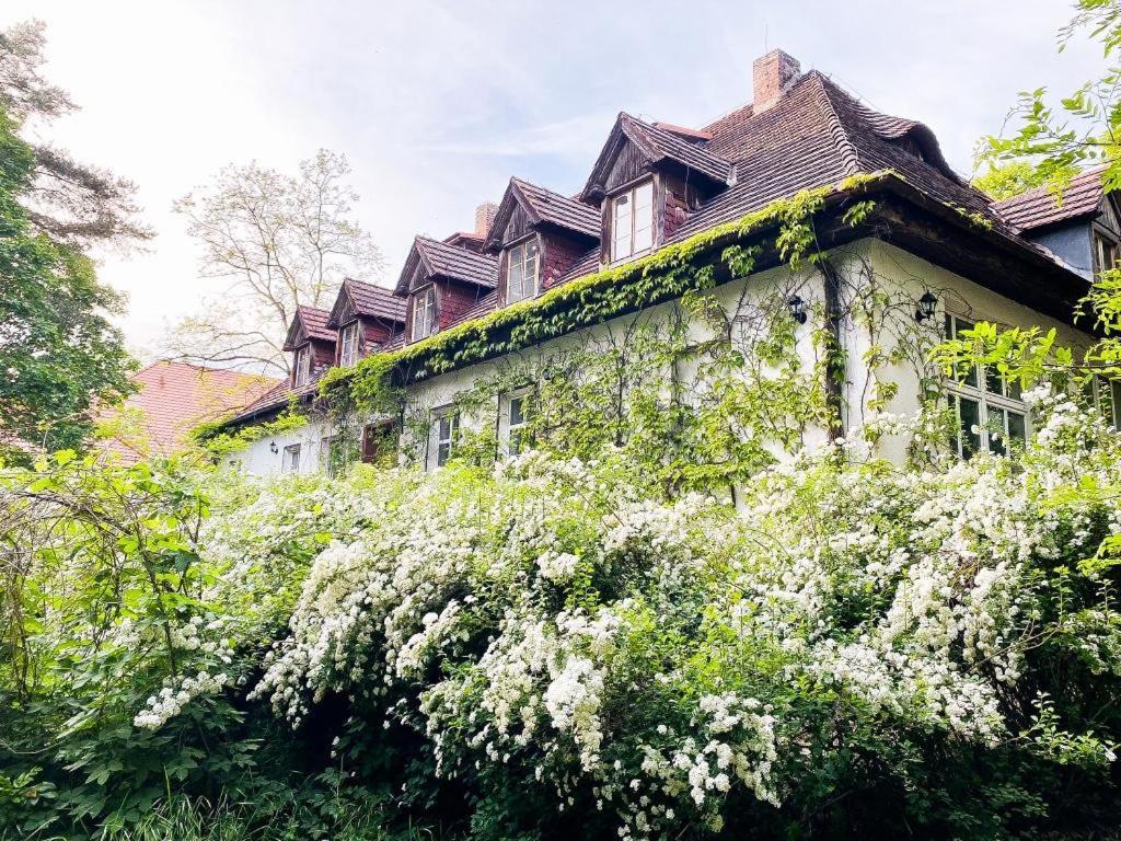 Zamkowa 4 Hotel Lubniewice Kültér fotó