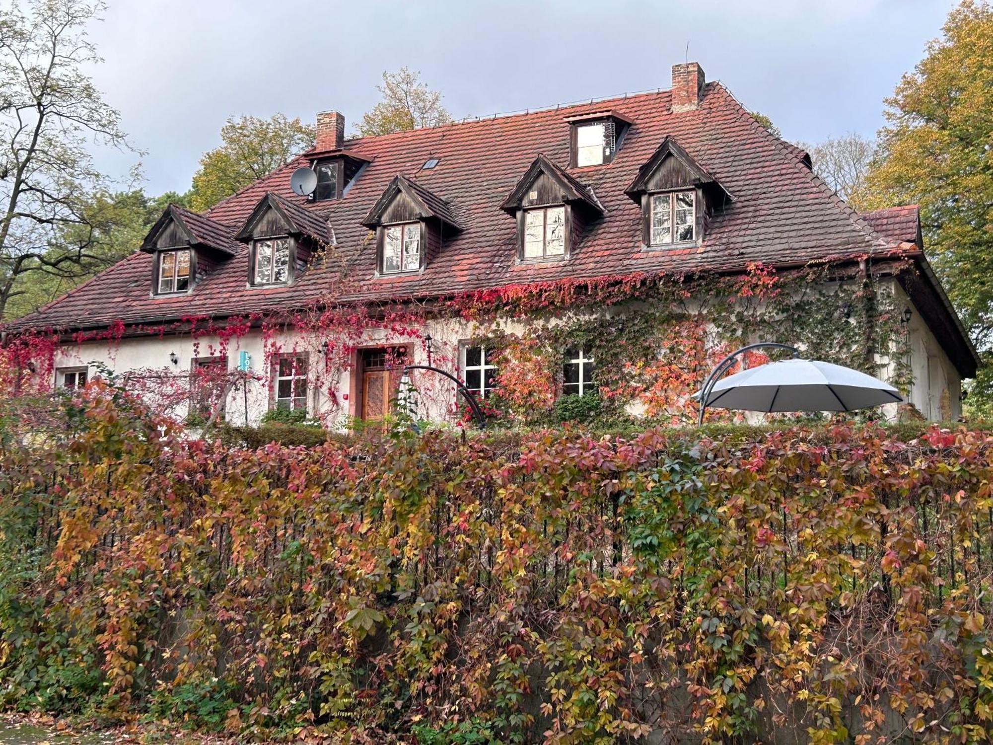 Zamkowa 4 Hotel Lubniewice Kültér fotó
